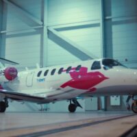 Pink Sparrow 1