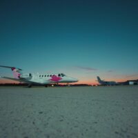Pink Sparrow 5