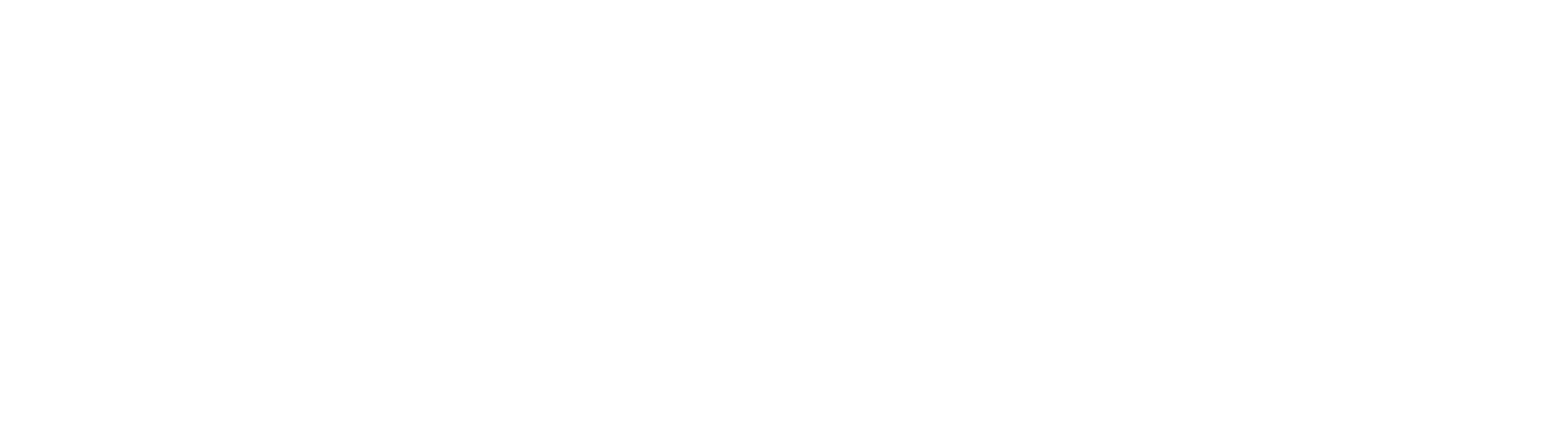 ROLIN Logo white